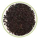 Sementes de Gypsophila Mosquitinho Sortido 300mg - SEEDS