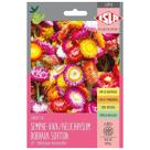 Sementes de Helichrysum Sempre-Viva (Sortida) Super ISLA