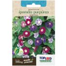 Sementes de Ipoméia Purpúrea (Sortida) TOPSEED