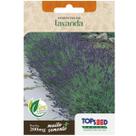 Sementes de Lavanda TOPSEED