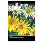 Sementes de Margarida Africana Sortida FELTRIN Sementes de Margarida Africana Sortida FELTRIN