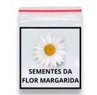 Sementes de Margarida Branca Etoile DAnvers 50 unidades