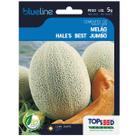 Sementes de Melão Hales Best Jumbo Blueline TOPSEED Sementes de Melão Hales Best Jumbo Blueline TOPSEED