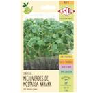 Sementes de Microverdes Brotos de Mostarda Nayana ISLA