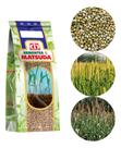 Sementes de Milheto BRS1501 - 8kg