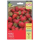 Sementes de Morango Sensação Super ISLA