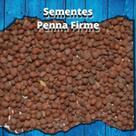 Sementes de Nabão - 1kg