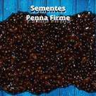 Sementes de Painço Preto - 1kg