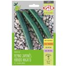 Sementes de Pepino Japonês Hibrido (Nagato) Super ISLA Sementes de Pepino Japonês Hibrido (Nagato) Super ISLA
