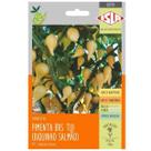 Sementes de Pimenta BRS Tui Biquinho Salmão (1g) SUPER ISLA Sementes de Pimenta BRS Tui Biquinho Salmão (1g) SUPER ISLA