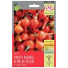 Sementes de Pimenta Iracema (Biquinho Vermelha) Super ISLA Sementes de Pimenta Iracema (Biquinho Vermelha) Super ISLA