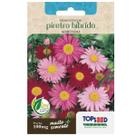 Sementes de Piretro Hibrido (Sortida) TOPSEED