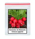 Sementes de Rabanete Crimson gigante 60 unidades
