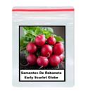Sementes De Rabanete Early Scarlet Globe 60 unidades