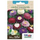 Sementes de Rainha Margarida Pompom Sortida TOPSEED