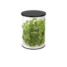 Sementes de Salsa Crespa Extra 100 GR de Sementes