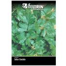 Sementes de Salsa Graúda Portuguesa FELTRIN