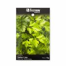 Sementes de Salsa Lisa Feltrin 10g Alta Germinação Para Horta Caseira Plantio Fácil