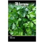 Sementes de Salsa Lisa FELTRIN