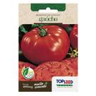 Sementes De Tomate Gaúcho Tradicional 400mg