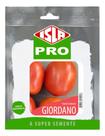 Sementes de Tomate Giordano Deter Cartela C/ 100 Sementes Sementes de Tomate Giordano Deter Cartela C/ 100 Sementes