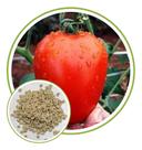 Sementes de Tomate Hibrido Filippo 267mg