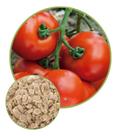 Sementes de Tomate Rasteiro Rio Grande 3g