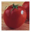 Sementes de Tomate Santa Clara 5800 Envelope C/ 400mg Sementes de Tomate Santa Clara 5800 Envelope C/ 400mg