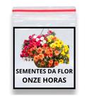 Sementes Flor Onze Horas/Portulaca GrandeFlora Sortido 1100 unidades Sementes Flor Onze Horas/Portulaca GrandeFlora Sortido 1100 unidades