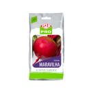 Sementes Isla Beterraba Maravilha 100g