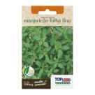 Sementes Manjericão Basil Basilicão (Folha Fina) TOPSEED