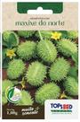 Sementes Maxixe Do Norte TOPSEED