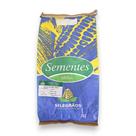 Sementes Milho Selegrão RG01 Híbrido 5 Kg - Silagem