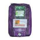 Sementes Panicum Maximum Mombaça 10KG Top Seeds Revestidas e Resistentes