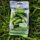 Sementes Pepino Híbrido Pioneiro Conserva Isla 50g Kit 10 un