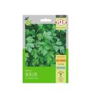 Sementes Salsa Lisa 10g ISLA