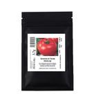 Sementes Tomate Híbrido Ipê 1.000 unidades