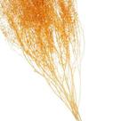 Sementinha Laranja Desidratada p/ Decoração