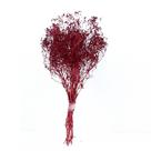 Sementinha Vermelho Flores Secas P/ Decoração