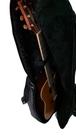 Semi case violão godin 103x39x8 capota marítima Pelucia