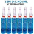 Semi Di Lino 5ml Cabelo E Brilho Arovitel - Kit C/ 6 Ampolas Semi Di Lino 5ml Cabelo E Brilho Arovitel - Kit C/ 6 Ampolas