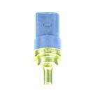 Sensor De Temperatura Da Agua - Vw Tds