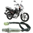 Sensor Lambda Convencional - YBR 125i Factor 2017 a 2019 - 6868.40.030 Sensor Lambda Convencional - YBR 125i Factor 2017 a 2019 - 6868.40.030
