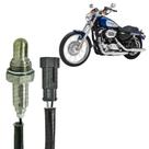 Sensor Oxigenio Sonda Lambda - Harley Davidson Xl 1200 2007 A 2013 - 7913.20.028 Sensor Oxigenio Sonda Lambda - Harley Davidson Xl 1200 2007 A 2013 - 7913.20.028