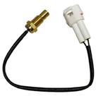 Sensor Temperatura Motor Moto Storm 200 Shineray Original
