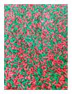 Sensory Bin Filler Sensory-N-Stuff Colorido Rice Christmas RG Sensory Bin Filler Sensory-N-Stuff Colorido Rice Christmas RG