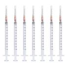 Seringa descartável RUIZHE 1mL com agulha 25Ga 0,5 cm Pacote com 25 Seringa descartável RUIZHE 1mL com agulha 25Ga 0,5 cm Pacote com 25
