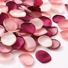 Serwalin 300 peças de pétalas de rosa de seda Pétalas de flores artificiais para casamentos Pétalas de rosa cor de vinho Pétalas falsas Pétalas de florista para proposta Basket Aisle Runner Bridal Shower (4 misturas de cores)