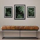 Set 3 Quadros Folhas - Costela De Adão - com vidro