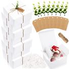 Set de 8 Cajas de Regalo Crtiin 20x20x10 cm Papel Blanco